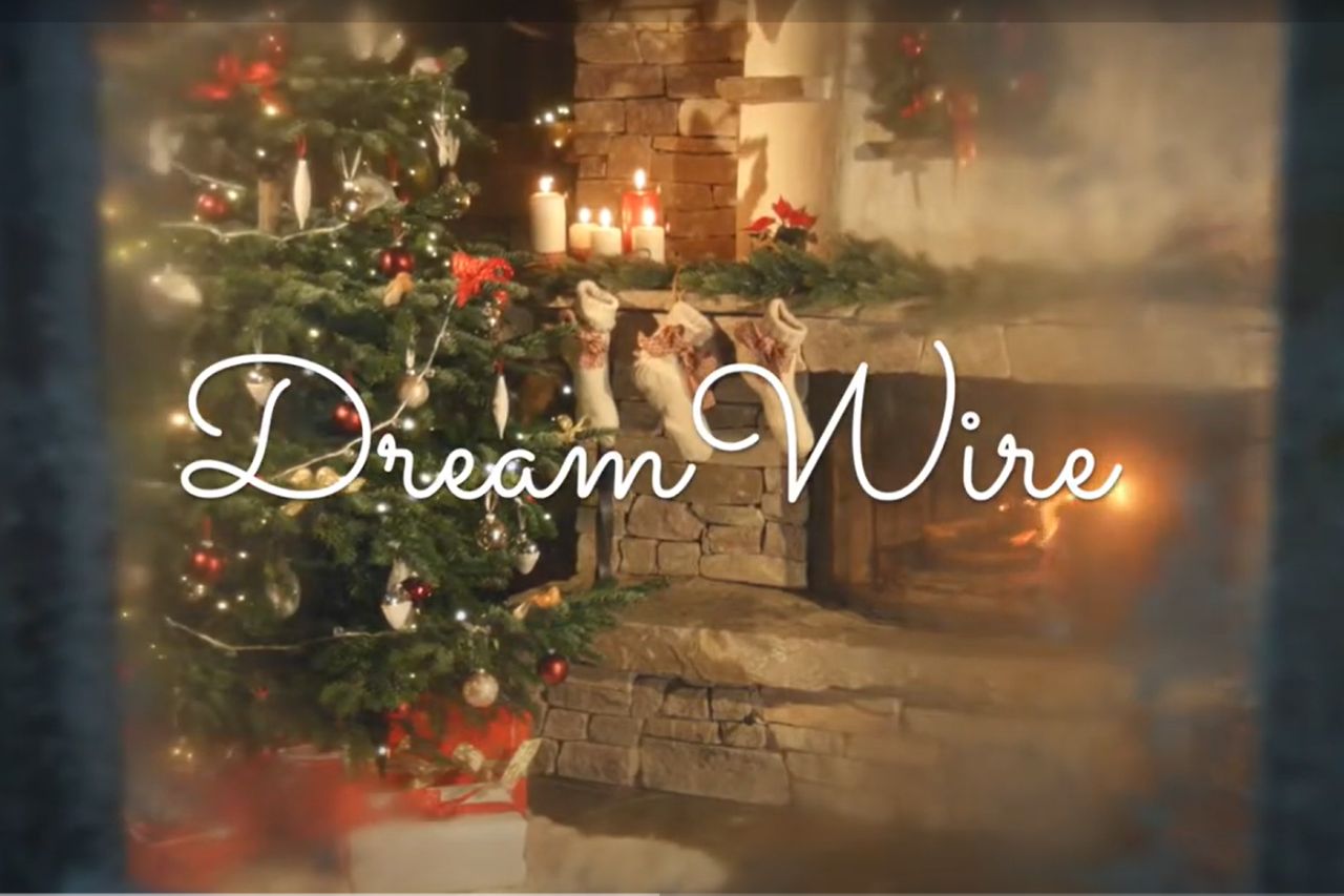Dreams wire: a special wish - Bottaro Iron wire for presses